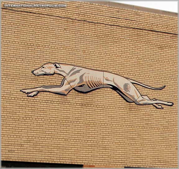 Great Lakes Greyhound – International Metropolis